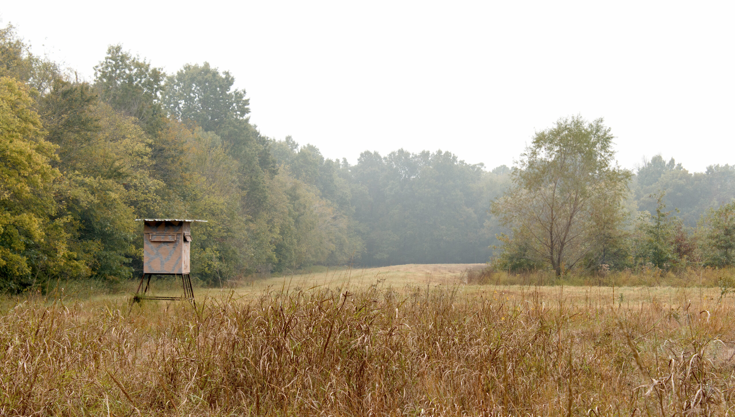 farmland