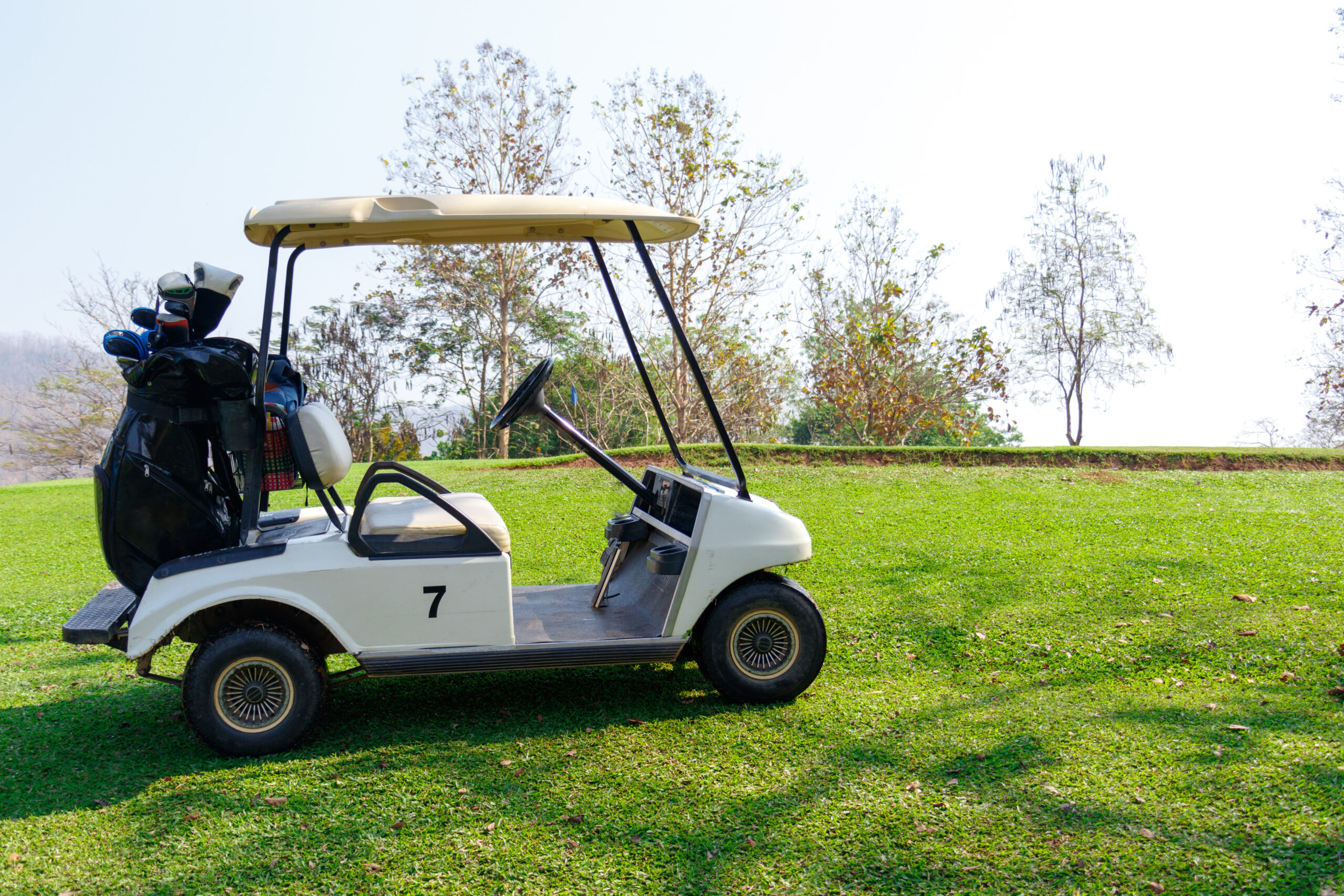 golf cart